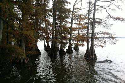 Facebook-20150219-015808