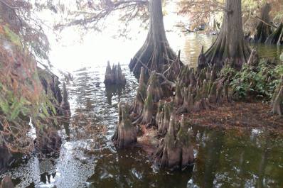 Facebook-20150219-015817