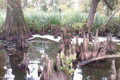 Facebook-20150219-015839