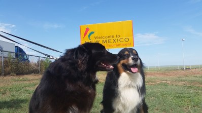 Who says the west is wild?