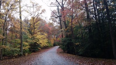 Facebook-20151026-020218